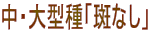 E^uȂv