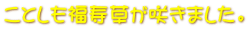 Ƃ炫܂B