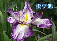 VEu摜uPr