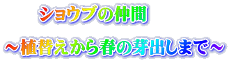 @@VEu̒  `Aւt̉o܂Ł`