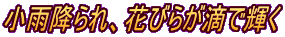 J~AԂт炪HŋP