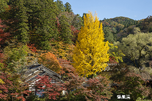 香嵐渓